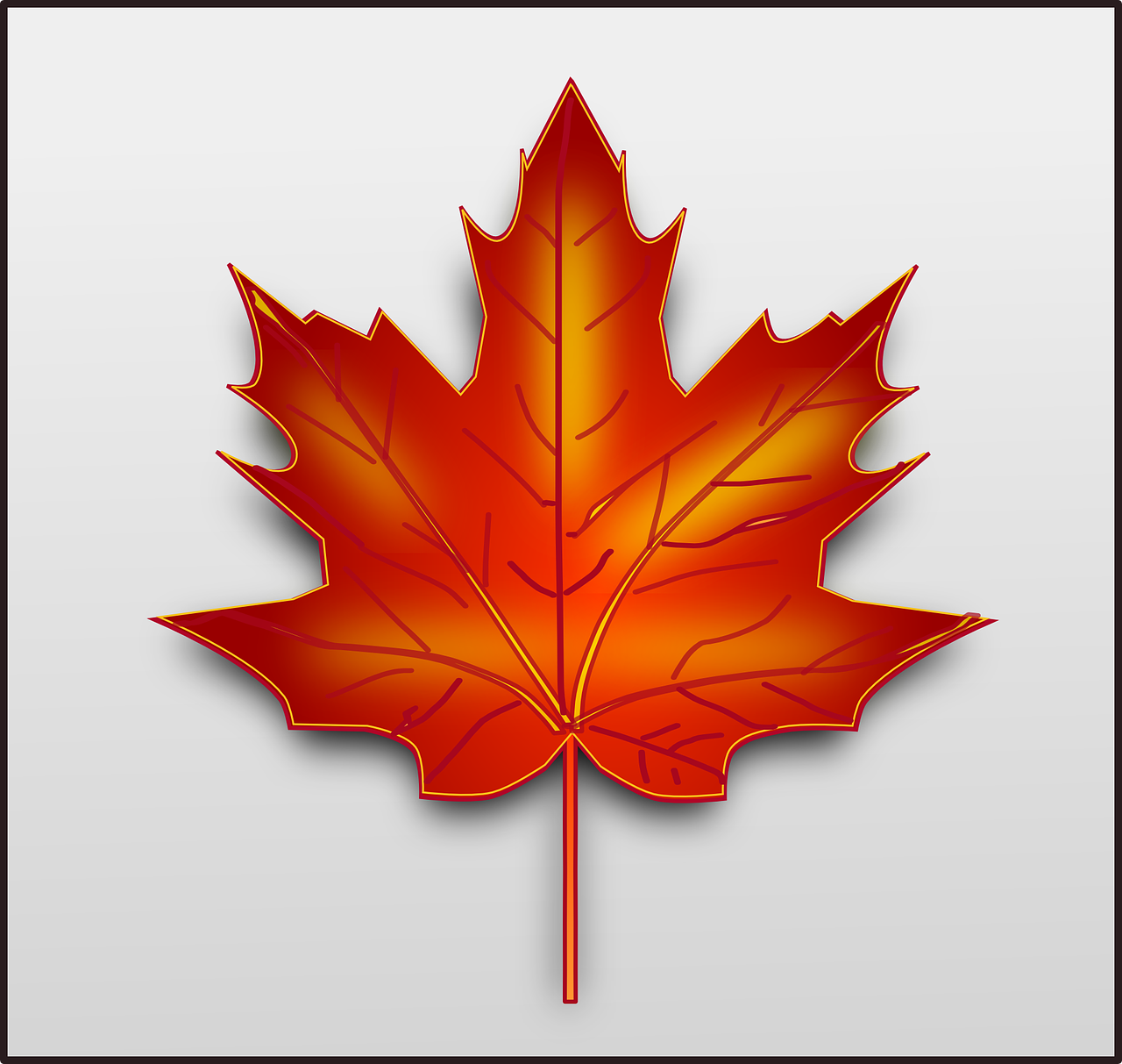 Education in Canada
